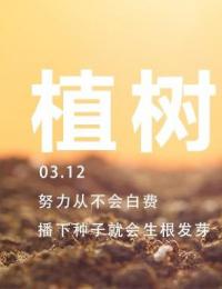 【新书推荐】（四十四）时光会让一棵树参天，也能让一个人绽放